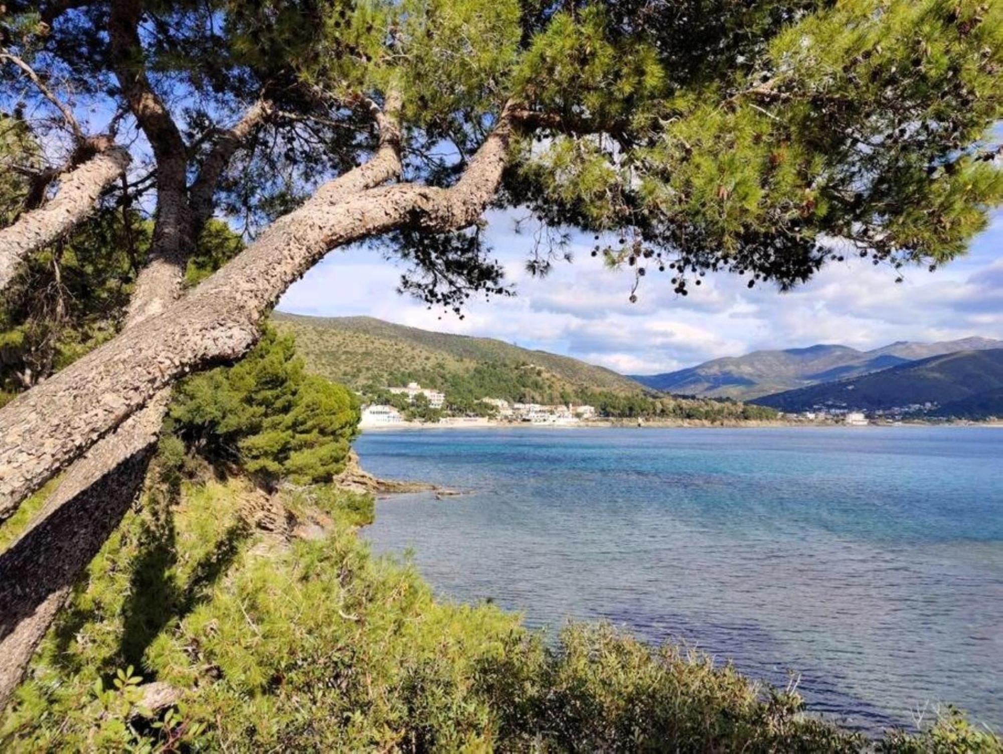 Bellezza In Cilento Panoramic Apts Castellabate Extérieur photo