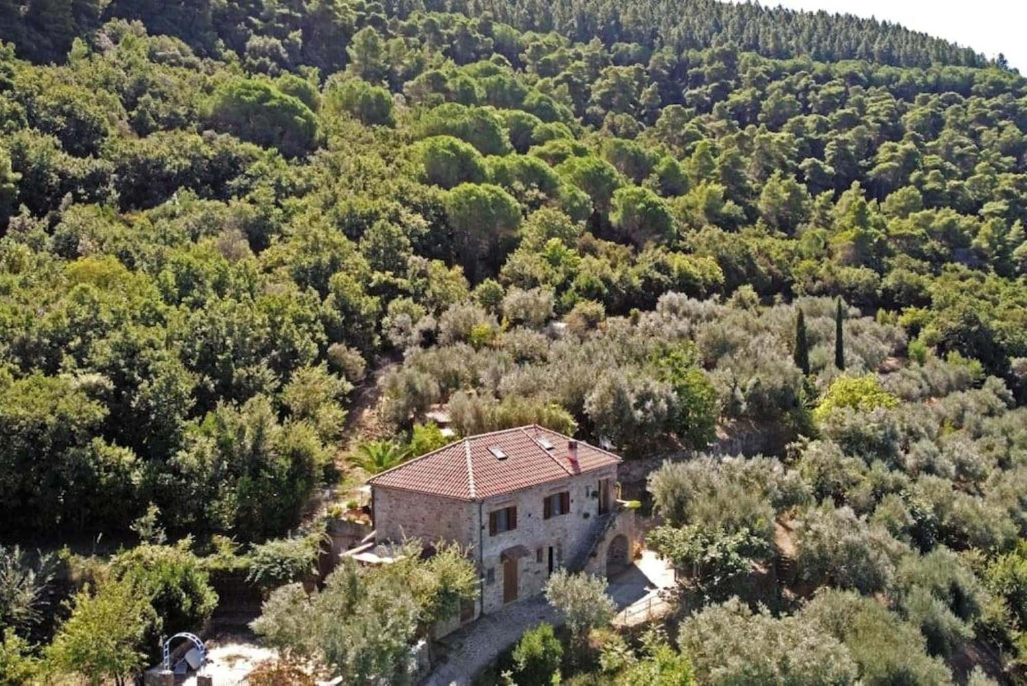 Bellezza In Cilento Panoramic Apts Castellabate Extérieur photo