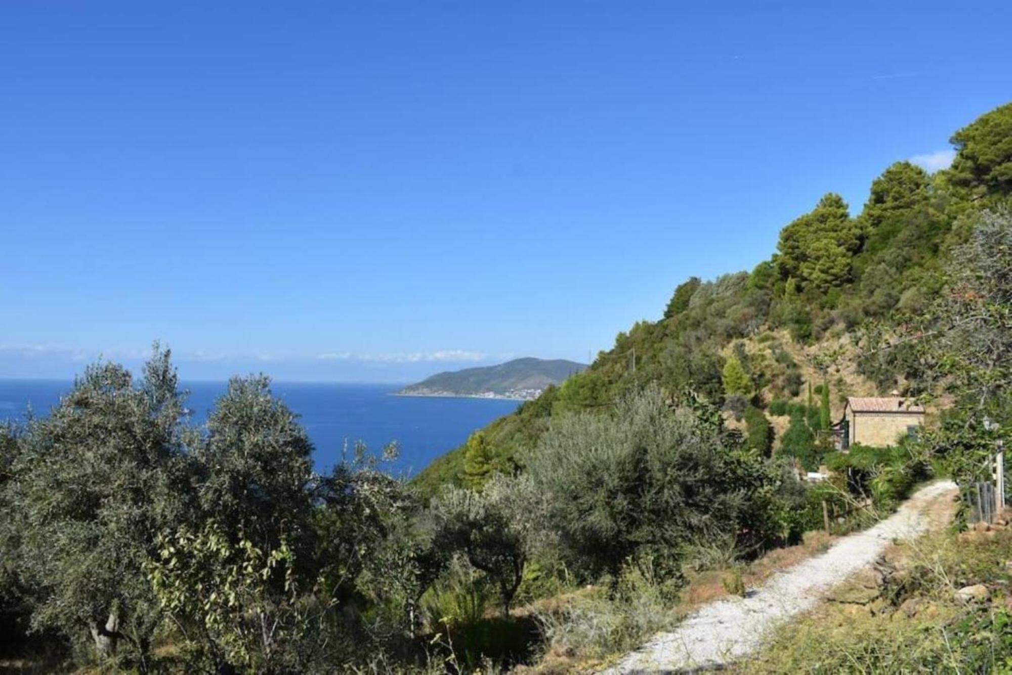 Bellezza In Cilento Panoramic Apts Castellabate Extérieur photo